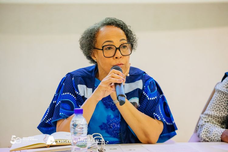 Notícia
